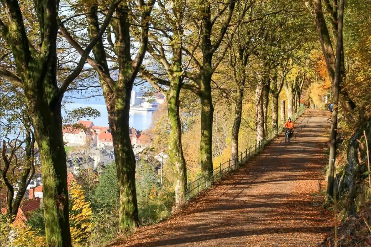 Apartmán Dinbnb Appartments L 300 M To Bryggen & Floyen! Optimized In 2023 Bergen