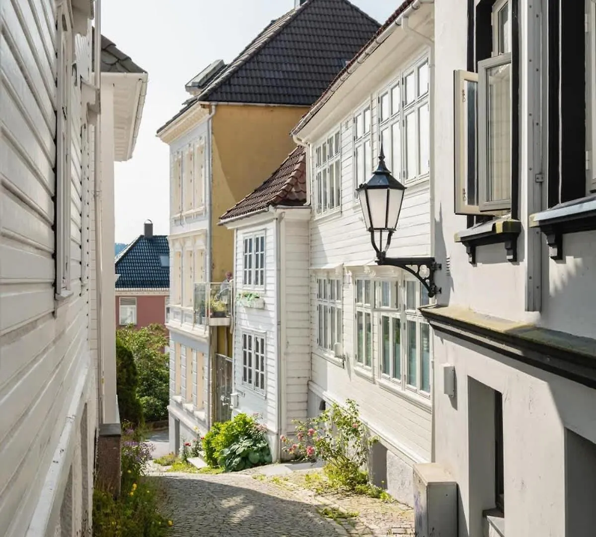 Dinbnb Appartments L 300 M To Bryggen & Floyen! Optimized In 2023 Bergen